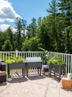 Self-Watering Standing Salad Planter With Cloche -Outdoor Garden Care 8612702 2002 tif