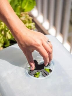 Self-Watering Standing Salad Planter With Cloche -Outdoor Garden Care 8612702 2034 tif