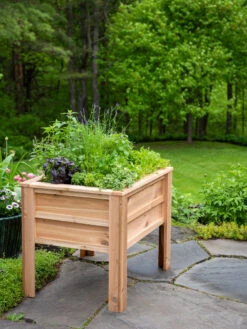 Craftsbury Elevated Raised Beds 11 Craftsbury Elevated Raised Beds -Outdoor Garden Care 8612706 0095