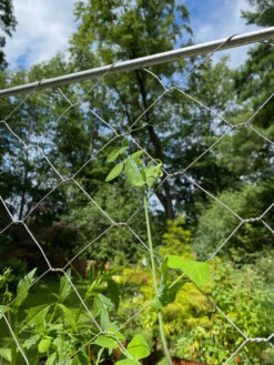 Chicken Wire Pea Trellis -Outdoor Garden Care 8612718 7311