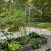 Chicken Wire Pea Trellis -Outdoor Garden Care 8612718 7313 chicken wire pea trellis