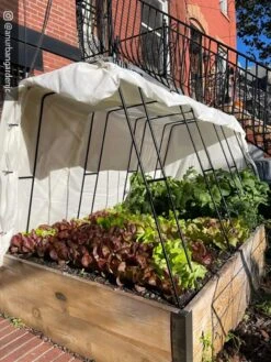 Cotton All Purpose Garden Cover -Outdoor Garden Care 8612816 01CUST