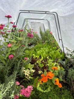 Zenith Garden Hoops, Set Of 4 -Outdoor Garden Care 8612816 01TEST