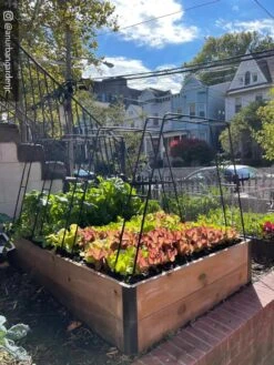 Zenith Garden Hoops, Set Of 4 -Outdoor Garden Care 8612816 02CUST