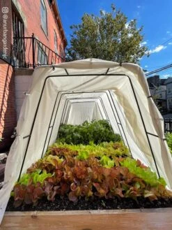 Cotton All Purpose Garden Cover -Outdoor Garden Care 8612816 03CUST