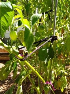 Farmyarn® Multipurpose Garden Tie, 2 Pack 16 Farmyarn® Multipurpose Garden Tie, 2 Pack -Outdoor Garden Care 8612948 02v