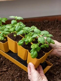 Gardener's Best® XL 6-Cell Planting Tray, Set Of 4 -Outdoor Garden Care 8613031 6300