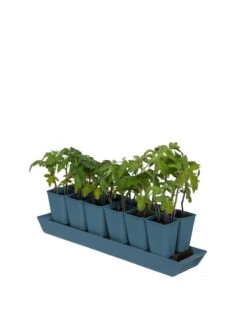 Gardener's Best® XL Seed Starting Kit -Outdoor Garden Care 8613066 0029