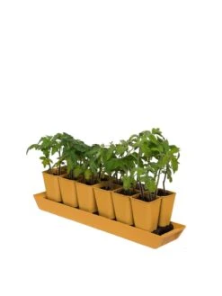 Gardener's Best® XL Seed Starting Kit -Outdoor Garden Care 8613066 1029