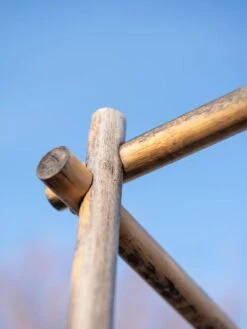 Bamboo Tomato Cages, Set Of 3 19 Bamboo Tomato Cages, Set Of 3 -Outdoor Garden Care 8613143 0385 1