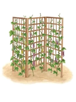 Bamboo Zig-Zag Trellis 24" X 36" -Outdoor Garden Care 8613151 art flat