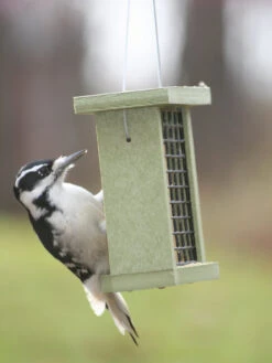 Birds Choice™ Suet Feeder