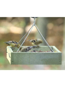 Birds Choice™ Tray Bird Feeder, Small -Outdoor Garden Care 8613221 03v