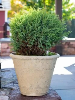 Self-Watering LavaStone® Anson Pot -Outdoor Garden Care 8613255 0144