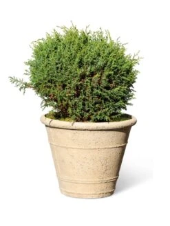 Self-Watering LavaStone® Anson Pot -Outdoor Garden Care 8613255 0150