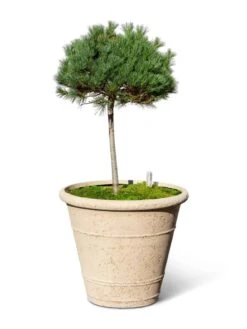 Self-Watering LavaStone® Anson Pot -Outdoor Garden Care 8613256 0138