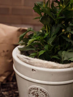 Hortiwool ®, 5 Pad Pack -Outdoor Garden Care 8613263 17v