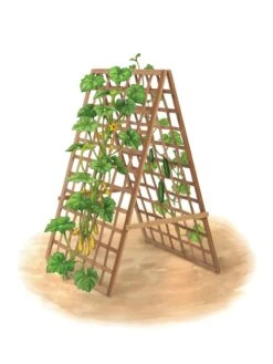 Bambo A Frame Plant Support, 30" X 42.5" -Outdoor Garden Care 8613310 art flat