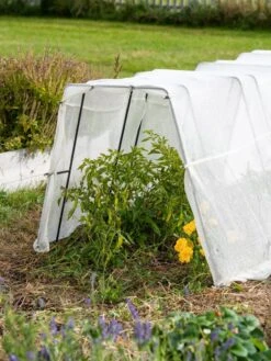 Zenith Garden Hoops, Set Of 4 -Outdoor Garden Care 8613313 0133