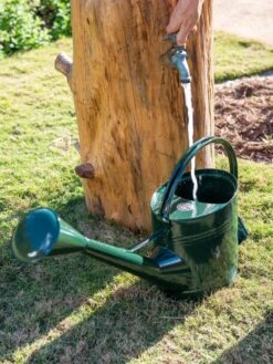 Long Reach Watering Can, Large -Outdoor Garden Care 8613346 0147