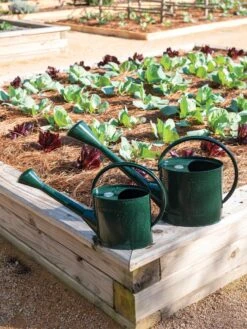 Long Reach Watering Can, Large -Outdoor Garden Care 8613346 0148 1