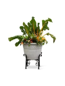 Covington Adjustable Plant Stands -Outdoor Garden Care 8613347 0119