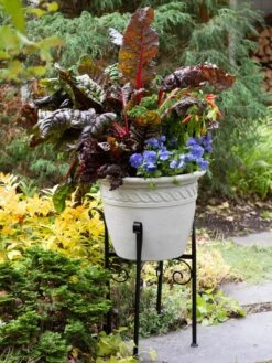 Covington Adjustable Plant Stands -Outdoor Garden Care 8613348 0114