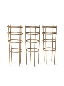 Bamboo Tomato Cages, Set Of 3 17 Bamboo Tomato Cages, Set Of 3 -Outdoor Garden Care 8613426 4679 bamboo tomato cages 3