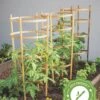 Bamboo Tomato Cages, Set Of 3 -Outdoor Garden Care 8613426 7
