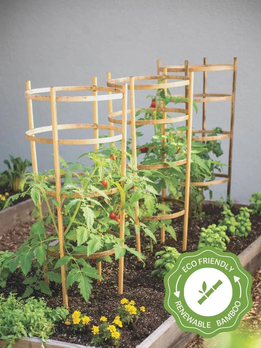 Bamboo Tomato Cages, Set Of 3 3 Bamboo Tomato Cages, Set Of 3