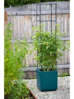 Oasis Self-Watering Tomato Planter With Trellis -Outdoor Garden Care 8613440 0376 3 4 1