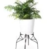 Aubrey Adjustable Plant Stand -Outdoor Garden Care 8613454 5716 aubrey adjustable plant stand