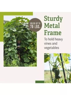 Titan Squash Tunnel -Outdoor Garden Care B07932DMCR plantsupport benefits 2