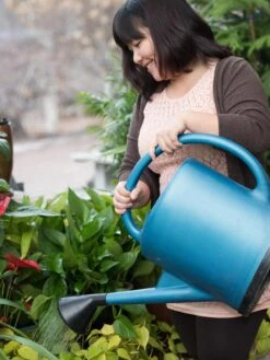 French Blue Watering Can -Outdoor Garden Care EmilyHoangSquare 0151 tif