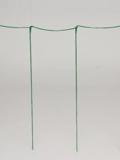 Curved Linking Stakes -Outdoor Garden Care GS35241 04S tif