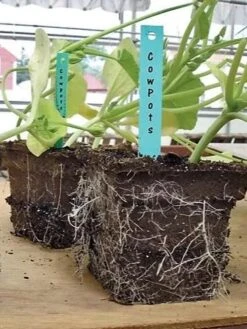 2-3/4" Square Cowpots 6-Packs, Set Of 4 -Outdoor Garden Care GS37034 05