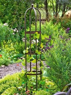 Jardin Bird Cage Support, 26" 10 Jardin Bird Cage Support, 26" -Outdoor Garden Care GS39529 01 tif