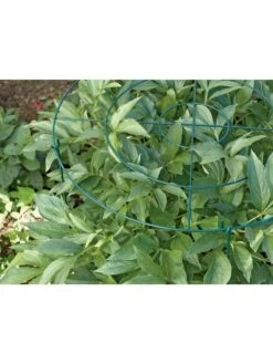 Grow Through Supports, Set Of 3 -Outdoor Garden Care GS40172 01 1