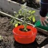 Tomato Halos, Set Of 3 -Outdoor Garden Care GS40357 01 tif