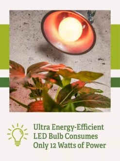 Miracle LED® Absolute Daylight™ Max Flowering Grow Light Bulb 11 Miracle LED® Absolute Daylight™ Max Flowering Grow Light Bulb -Outdoor Garden Care Miracle Daylight Bulb 2