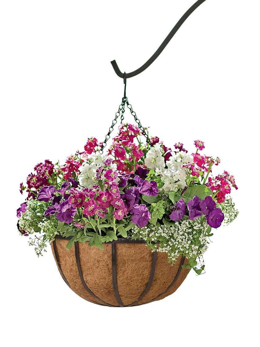 AquaSav™ Replacement Liners, Set Of 3 6 AquaSav™ Replacement Liners, Set Of 3 - Image 4