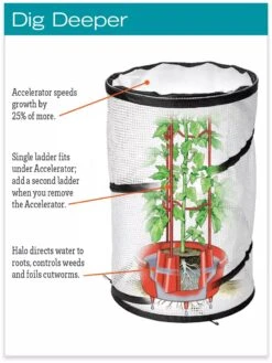 Tomato TLC Kits, Set Of 3 -Outdoor Garden Care hiw 8594214 jpg