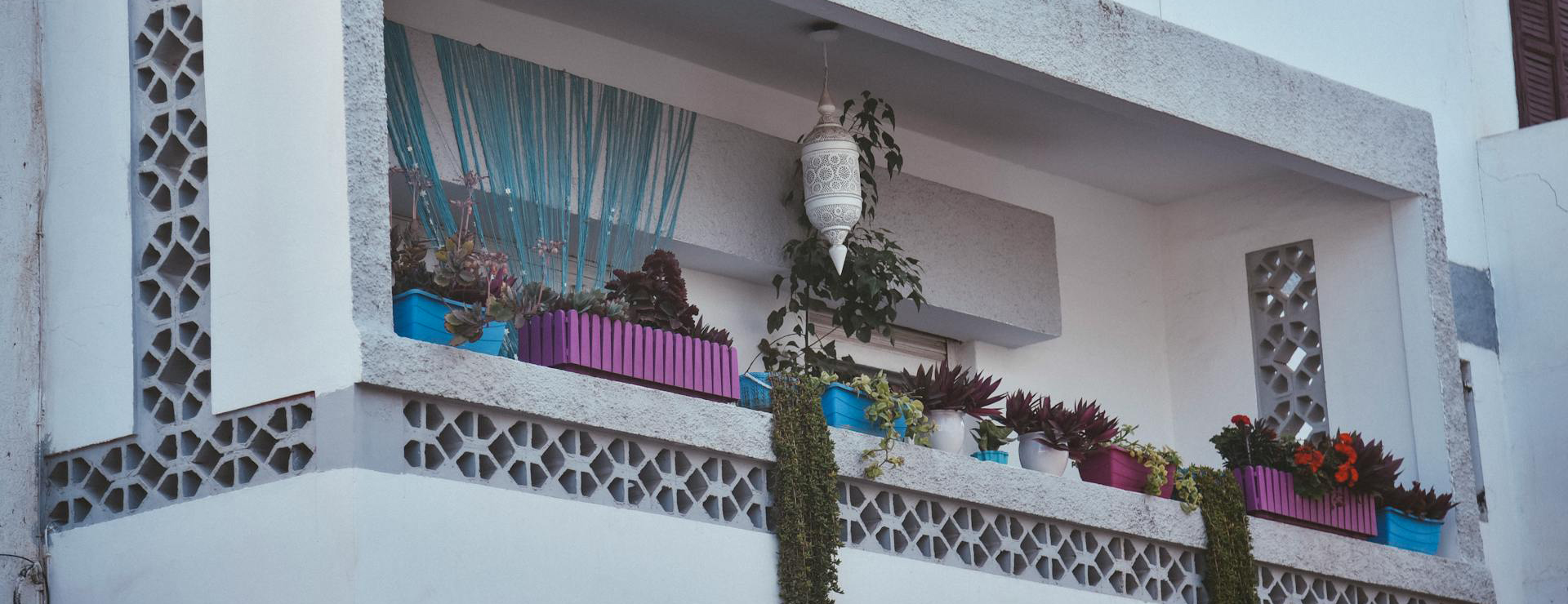 Outdoor Garden Care 1 Outdoor Garden Care -Outdoor Garden Care pexels mag photography 1501456 30227654