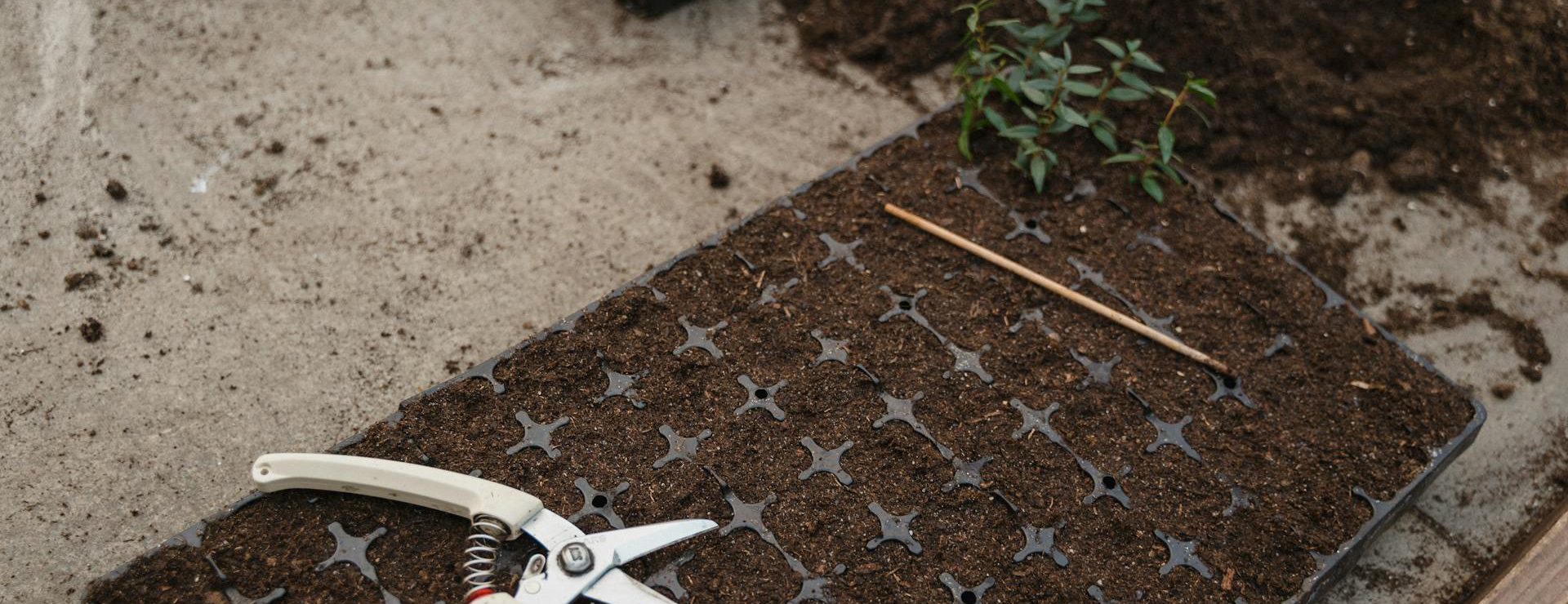 Outdoor Garden Care 3 Outdoor Garden Care -Outdoor Garden Care pexels tima miroshnichenko 6508421