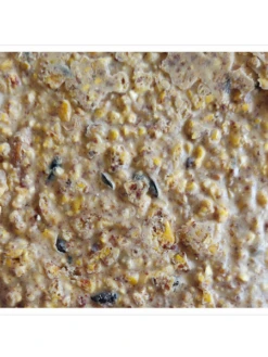 Woodpecker Almond Suet, 11.75 OZ, 12 Pack -Outdoor Garden Care webimage 8613691 04V